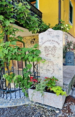 Vinogradništvo-Kolarič-037