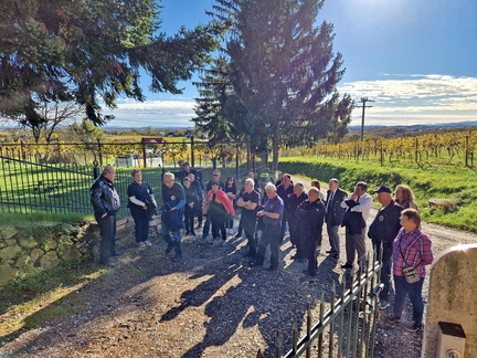 Vinogradništvo-Kolarič-038