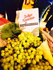 Vinogradništvo-Kolarič-055