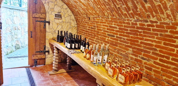 Vinogradništvo-Kolarič-056
