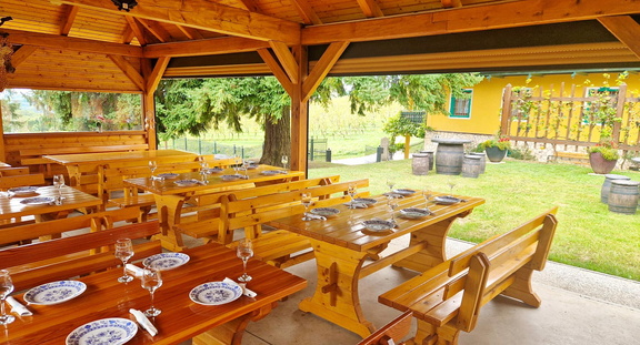 Vinogradništvo-Kolarič-078