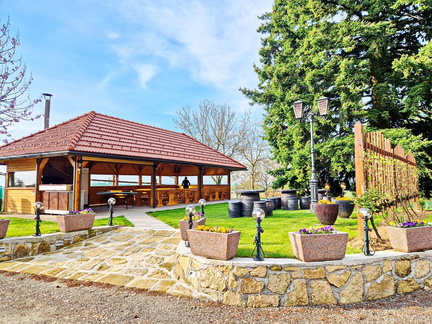 Vinogradništvo-Kolarič-079
