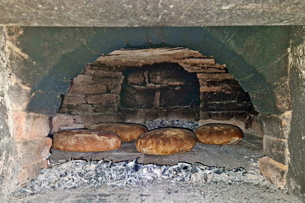 Vinogradništvo-Kolarič-095