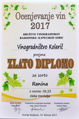 Vinogradništvo-Kolarič-173