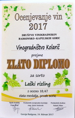 Vinogradništvo-Kolarič-174
