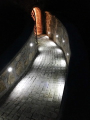 Vinogradništvo-Kolarič-209