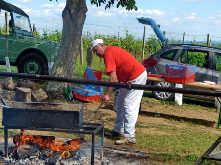 Kolaric-4.-piknik-060
